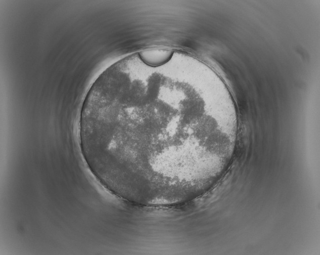 X0000112010811200908311133