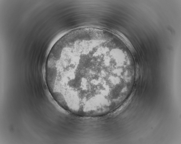 X0000112010812200908311133