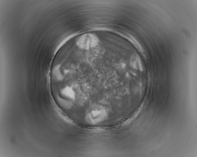 X0000112010814200908311133