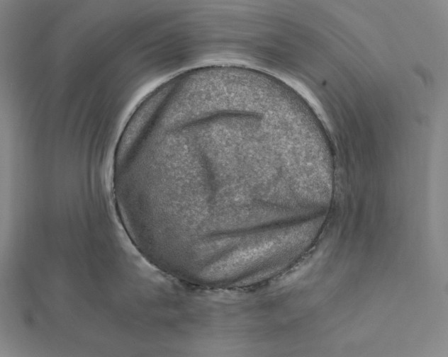 X0000112010815200908311133