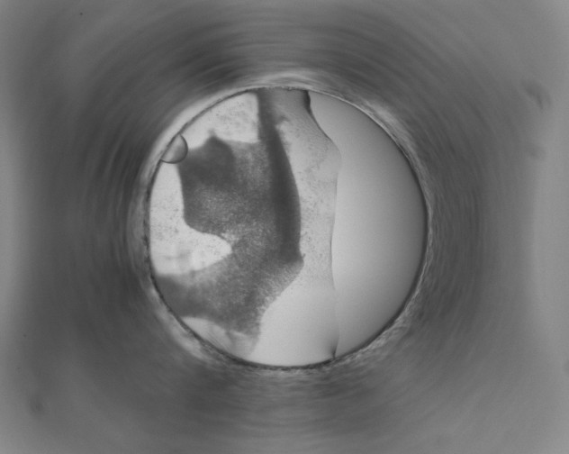 X0000112010816200908311133