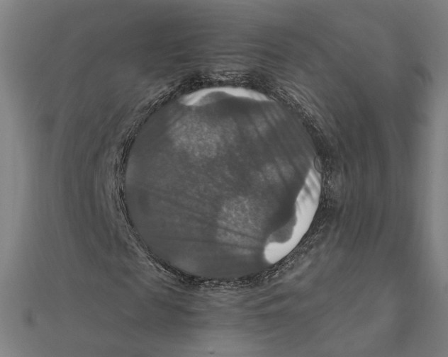 X0000112010817200908311132
