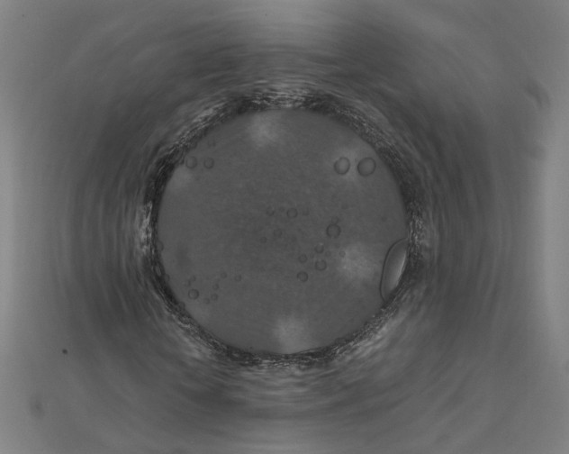 X0000112010818200908311132