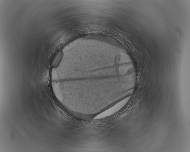 X0000112010820200908311132