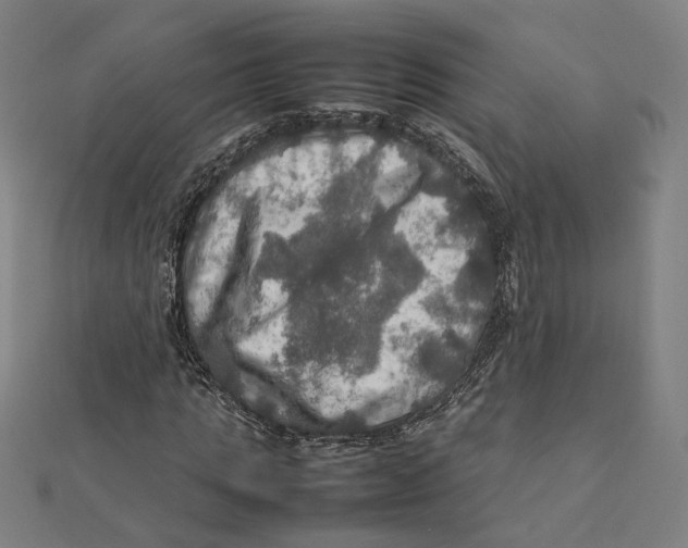 X0000112010821200908311132