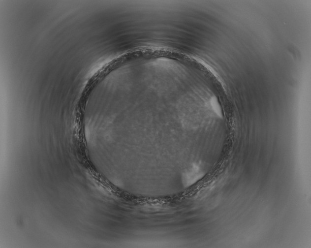 X0000112010823200908311132