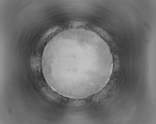 X0000112010824200908311132