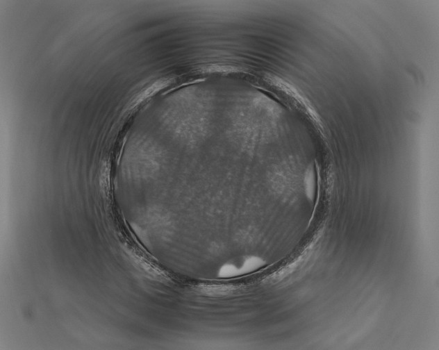 X0000112010825200908311132