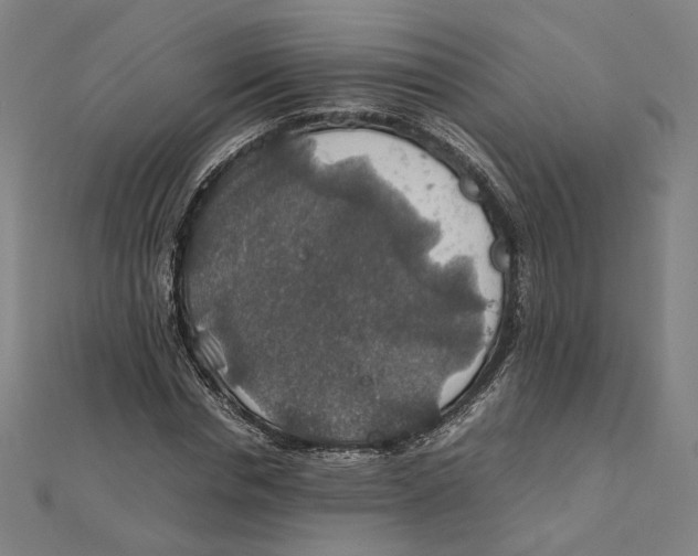 X0000112010826200908311132