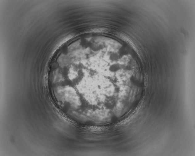 X0000112010827200908311132