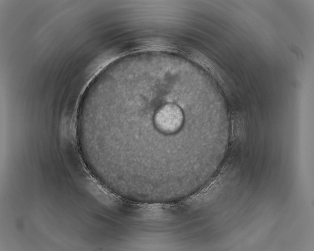 X0000112010828200908311132