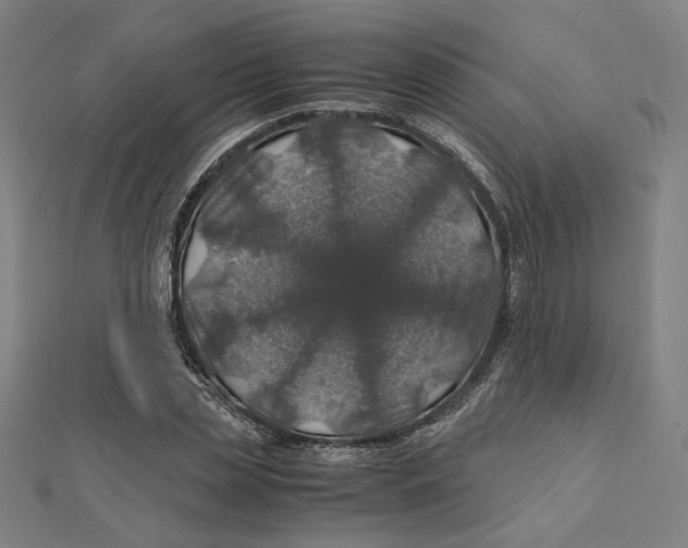 X0000112010829200908311132