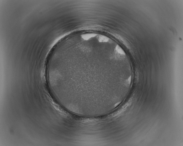 X0000112010830200908311132