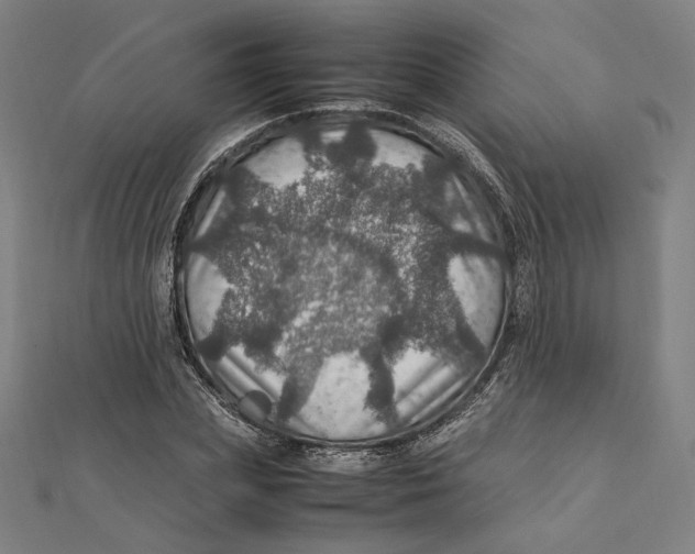 X0000112010831200908311132