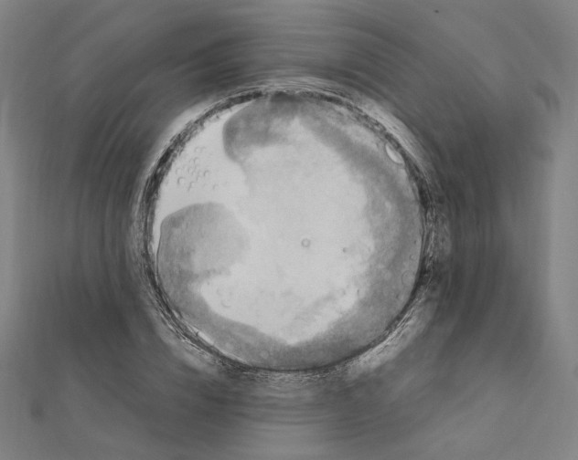 X0000112010832200908311132