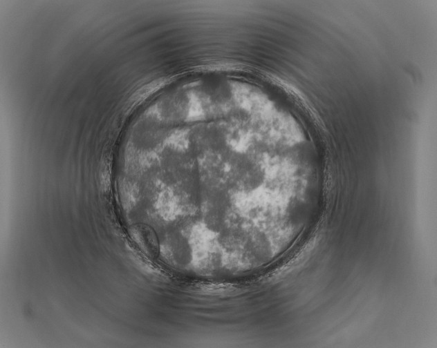 X0000112010833200908311132