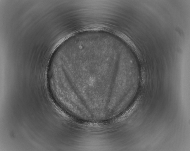 X0000112010834200908311132