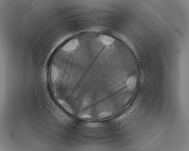 X0000112010835200908311132