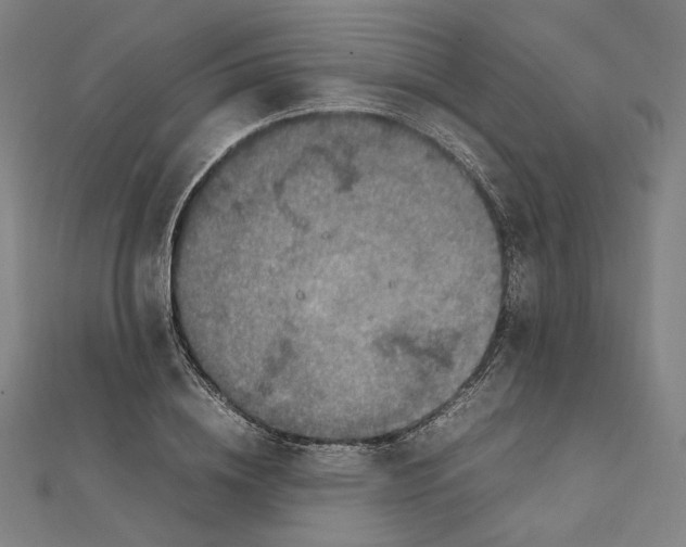X0000112010836200908311132