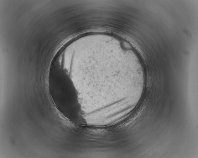 X0000112010837200908311132