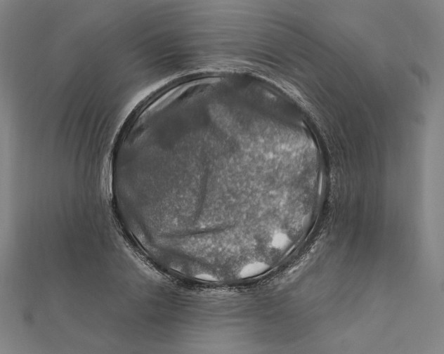 X0000112010838200908311132
