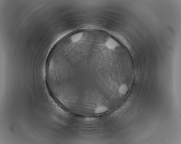 X0000112010839200908311132