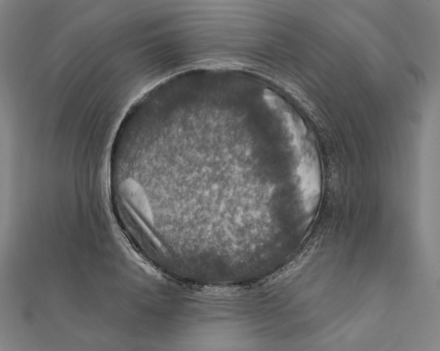 X0000112010840200908311133