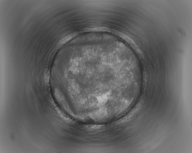X0000112010841200908311133