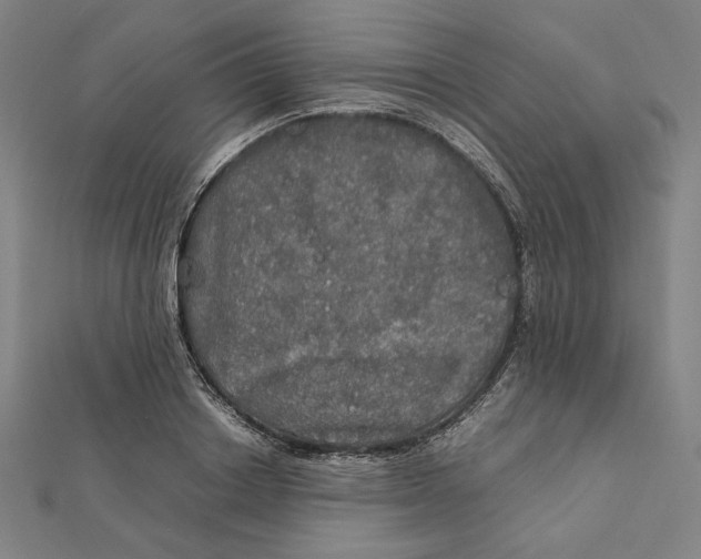 X0000112010842200908311133