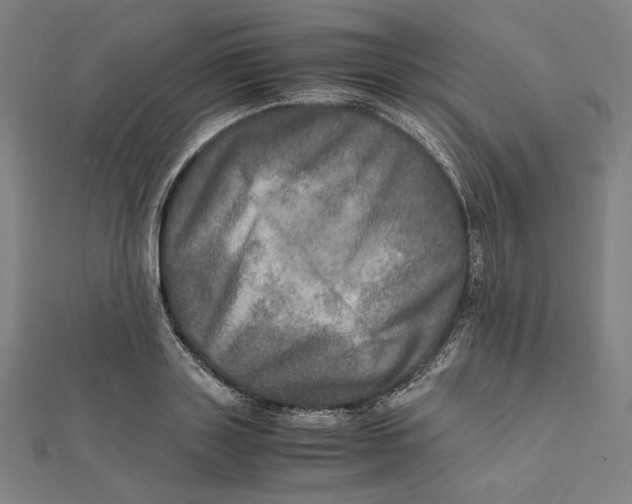 X0000112010843200908311133