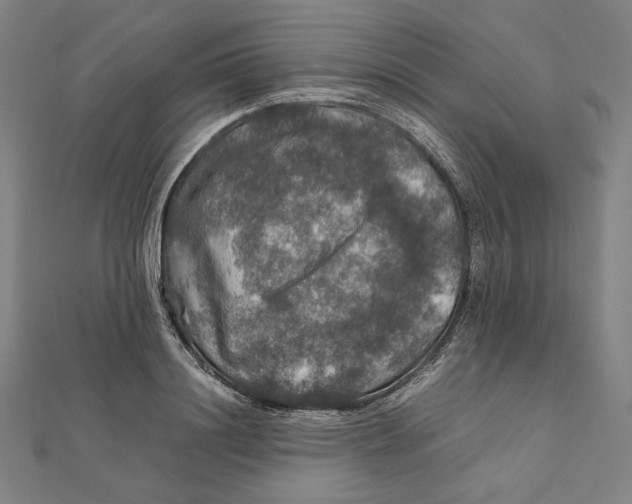 X0000112010844200908311133