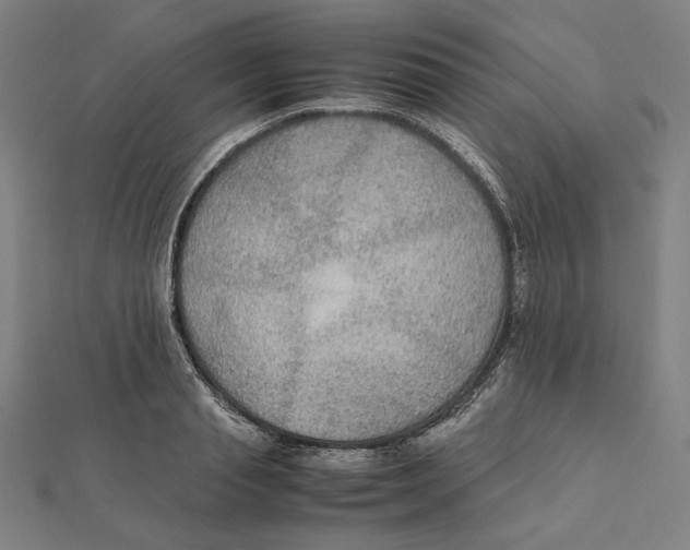 X0000112010845200908311133