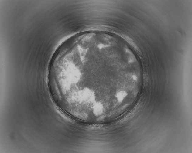 X0000112010846200908311133