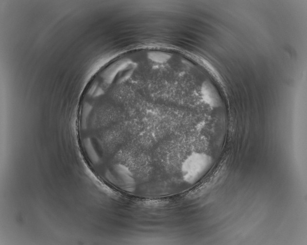 X0000112010847200908311133