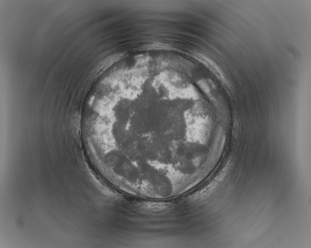 X0000112010849200908311133