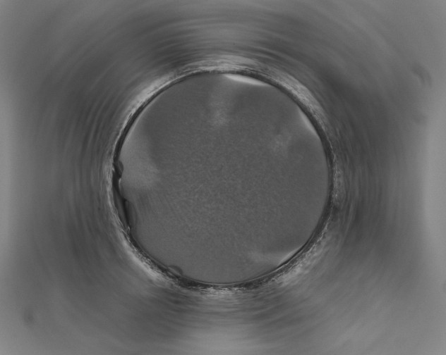 X0000112010850200908311133