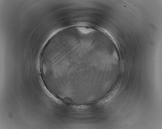 X0000112010851200908311133