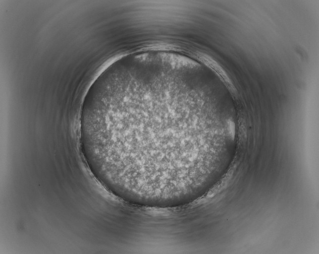 X0000112010852200908311133