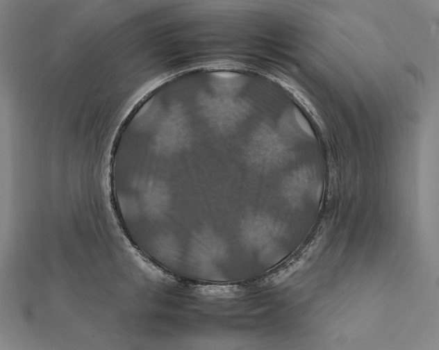 X0000112010853200908311133