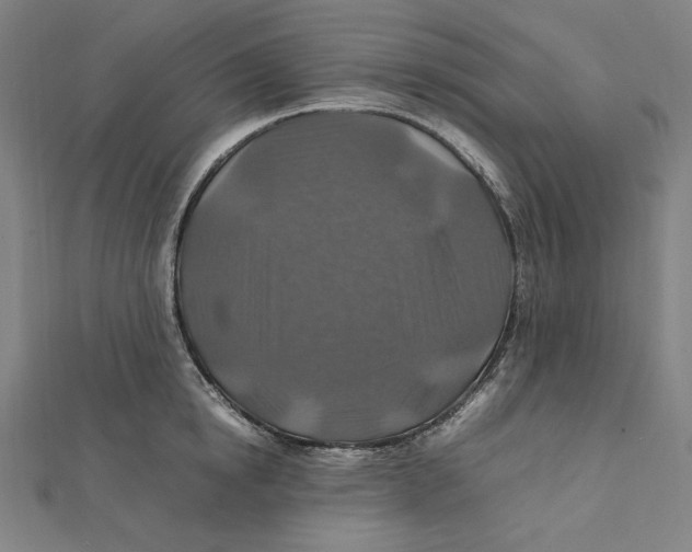 X0000112010854200908311133