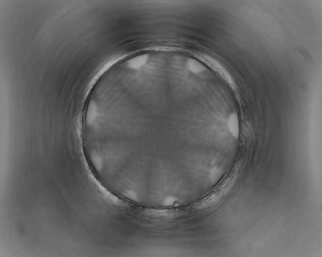 X0000112010855200908311133