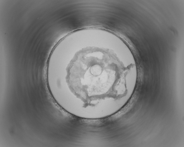 X0000112010856200908311133