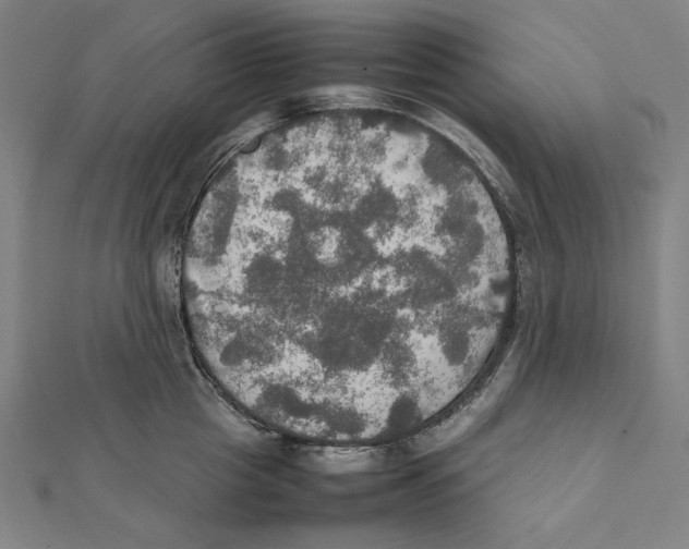 X0000112010857200908311133