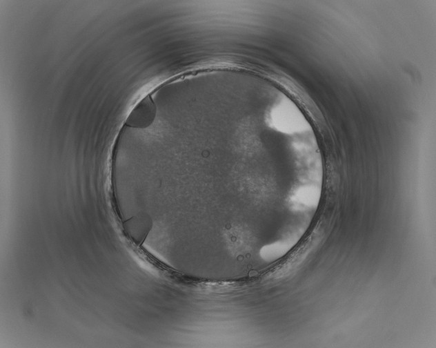 X0000112010858200908311133