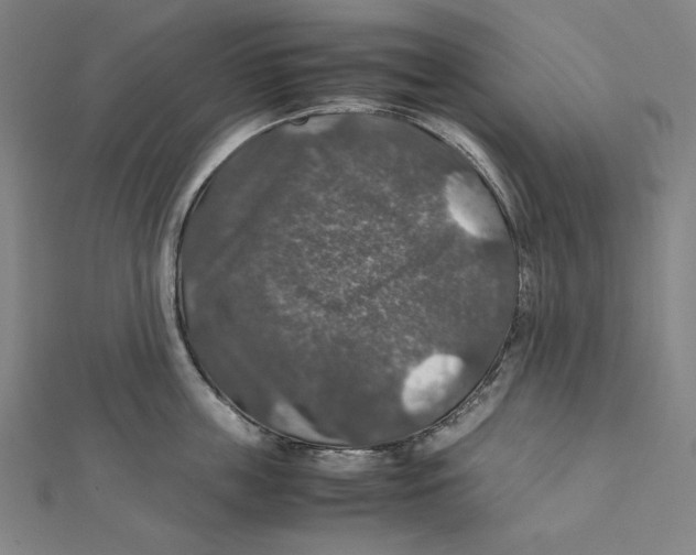 X0000112010859200908311133