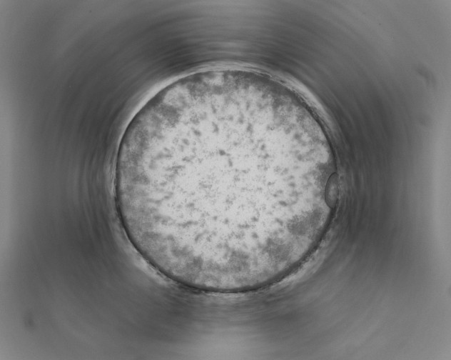 X0000112010860200908311133