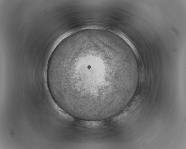X0000112010861200908311133