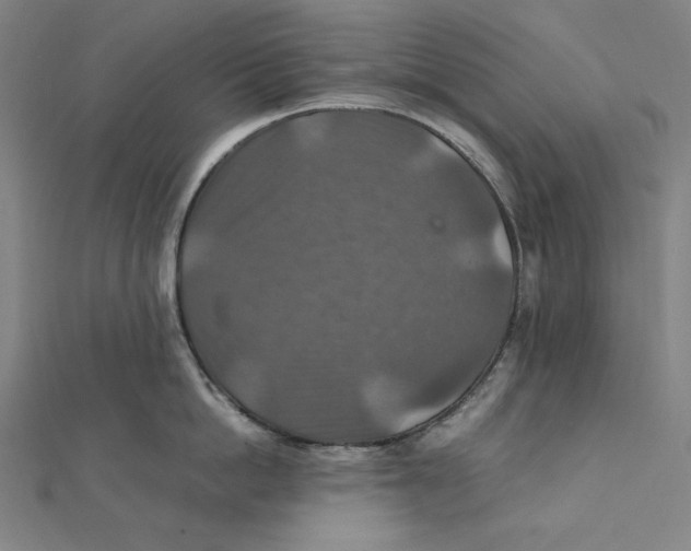 X0000112010862200908311133
