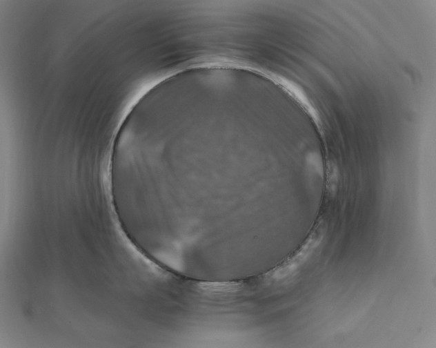 X0000112010863200908311133