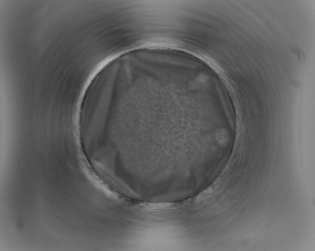 X0000112010864200908311133